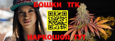 соль ск Можга