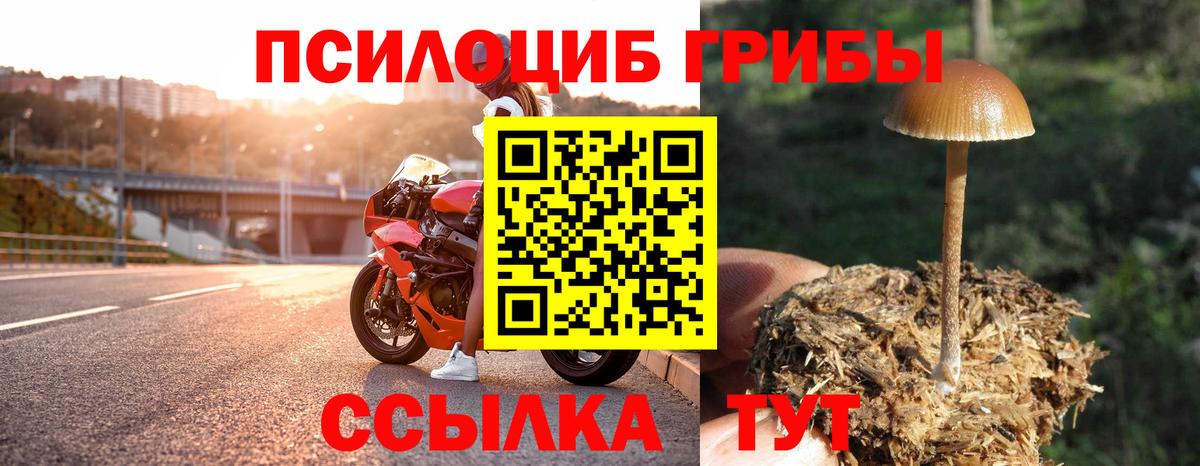 Псилоцибиновые грибы ЛСД  Вход с VPN  Тольятти 